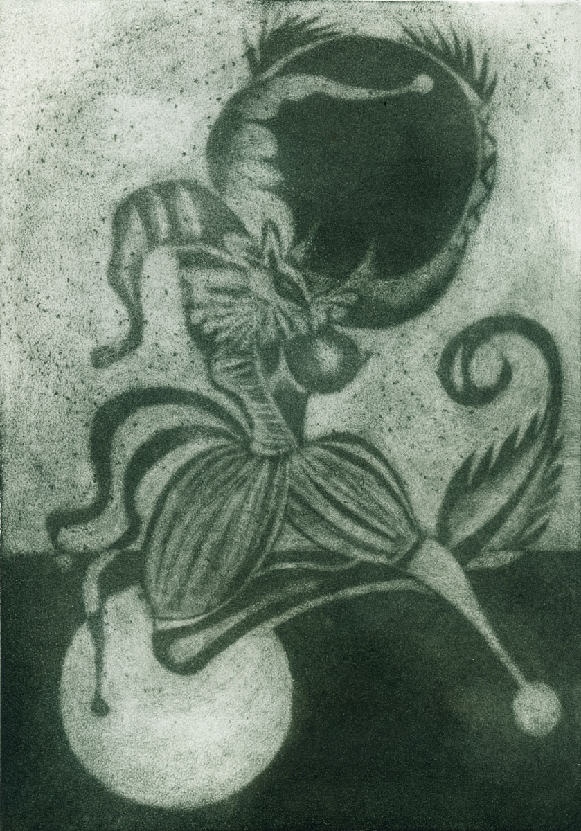 Agliolo Quartarolo Simone