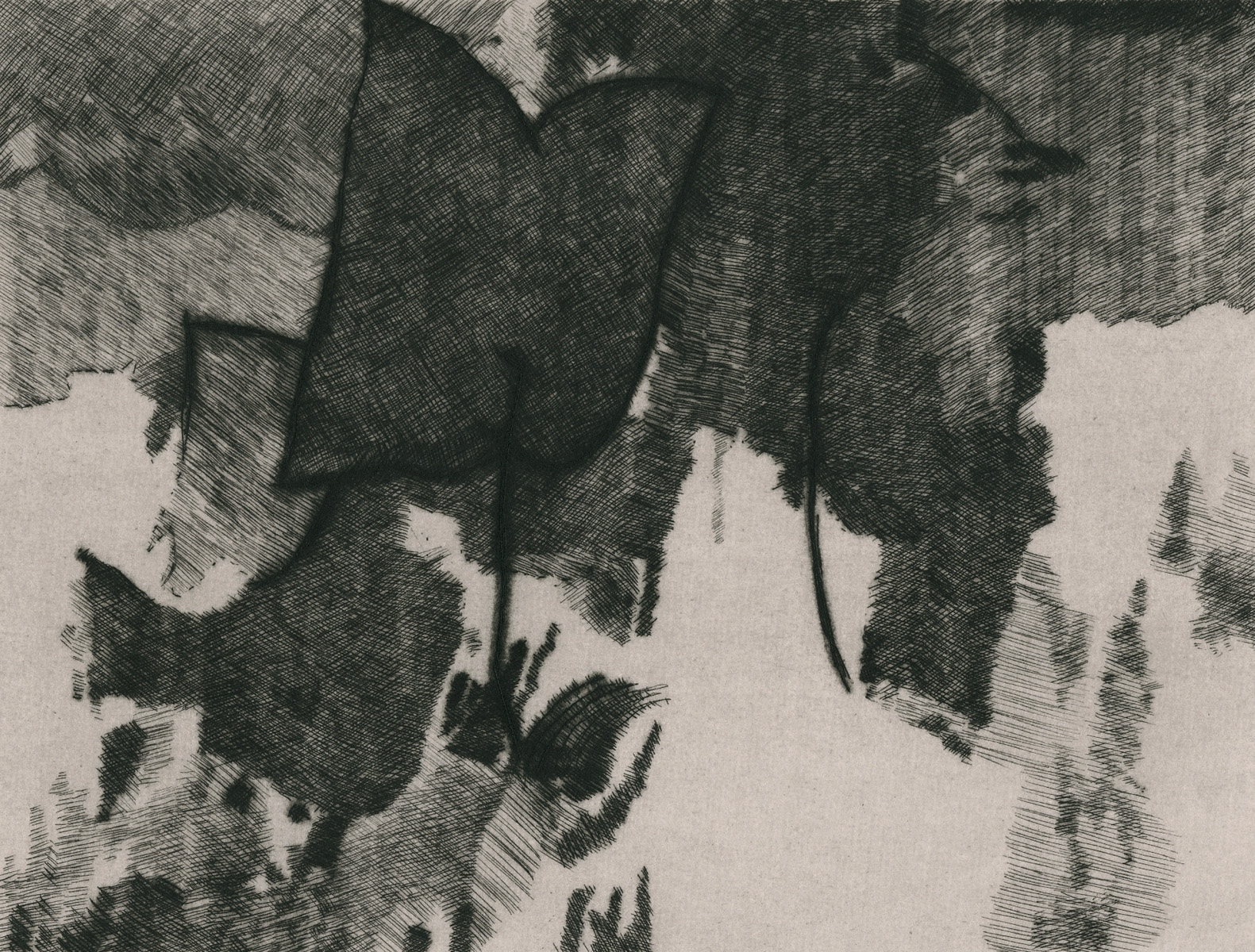 Mombelli Eugenio